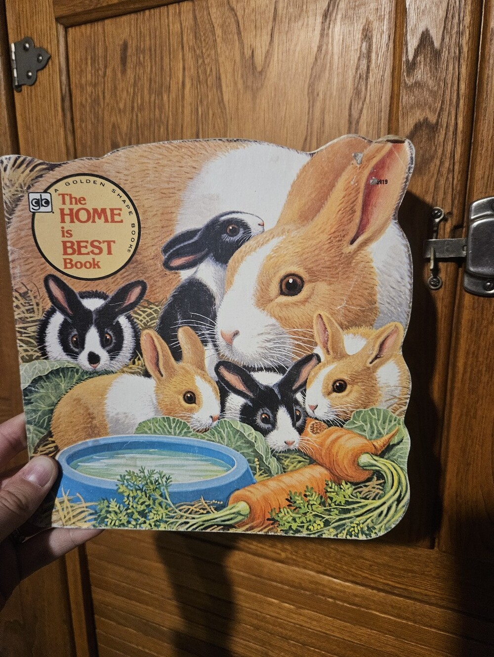 💜2/$15 VTG 1976 The Home Is Best Golden Shape Book